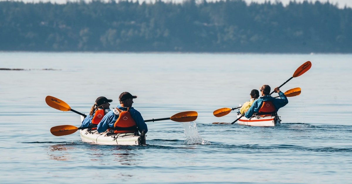 Telegraph Cove: Day Trip Kayaking Tour | GetYourGuide