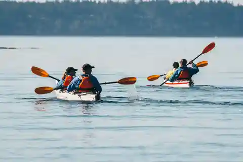 Telegraph Cove: Passeio de caiaque de um dia