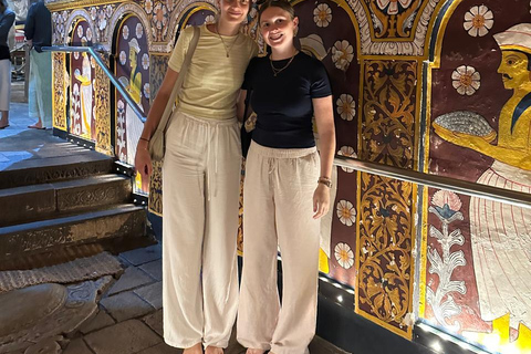 CMB/Negombo: Sigiriya, Kandy & Ella Private Tour with Driver Private Van with Driver – Up to 50 km