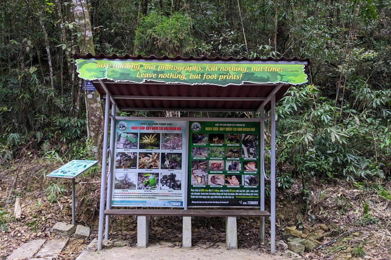 Ganztägige Bach Ma National Park Trekking Tour mit MittagessenGeteilte Tour: Vom Stadtzentrum von Hue