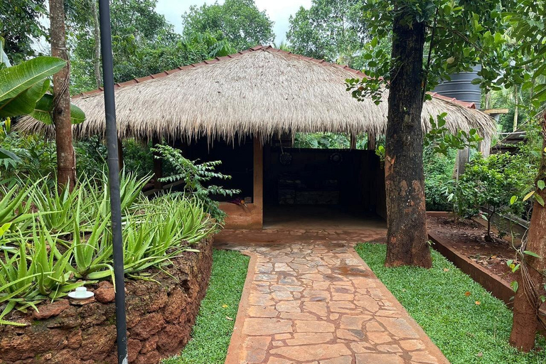 Sigiriya: Private Kandy Transfer with Cultural tour