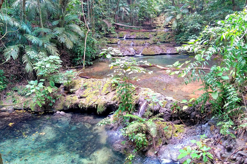 Chiapas: Tour privato della natura 4 giorni e 3 nottiTour privato della natura in 4 giorni