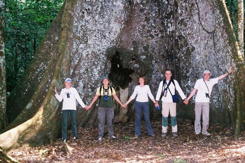 Iquitos Jungle Trip Premium Lodge