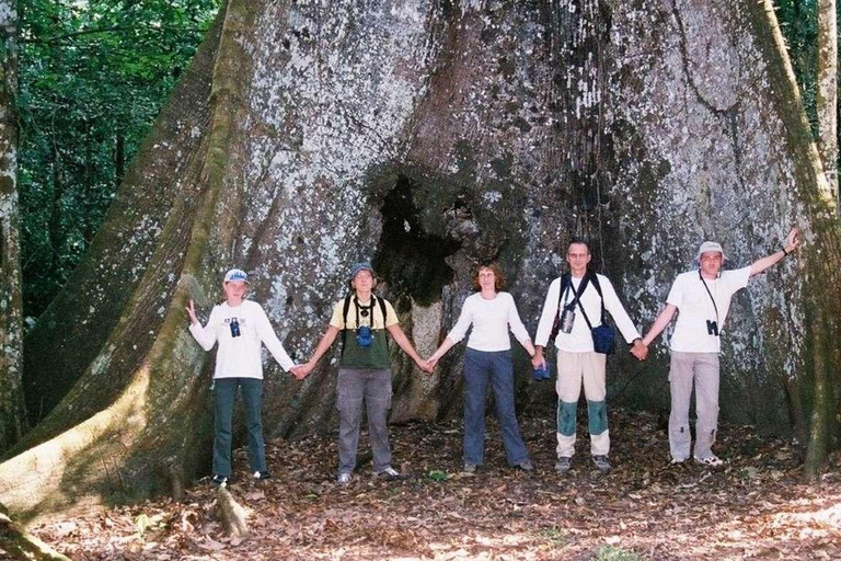 Viaggio nella giungla di Iquitos Premium Lodge