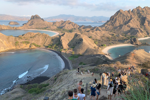Visit the Main Attractions of Komodo National Park