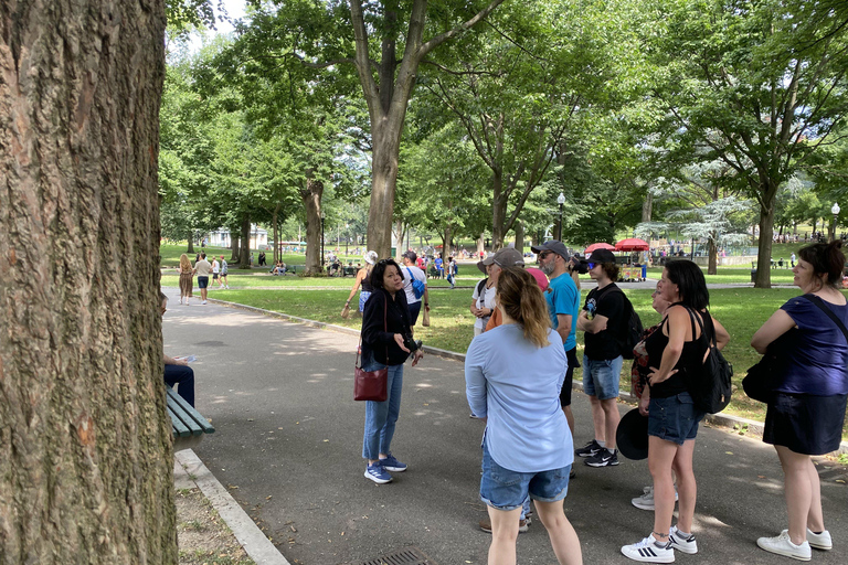 Das alte Boston: Beacon Hill &amp; Back Bay Rundgang auf Französisch