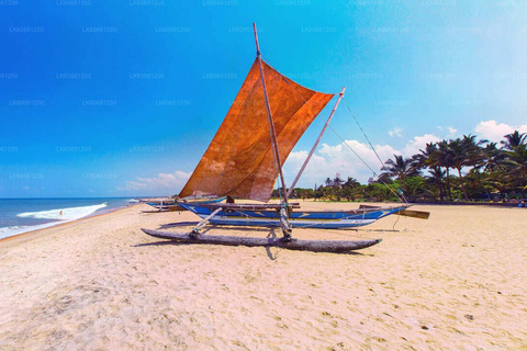 Visite de la ville de Negombo : Marché aux poissons et tour en bateau sur le canal hollandais