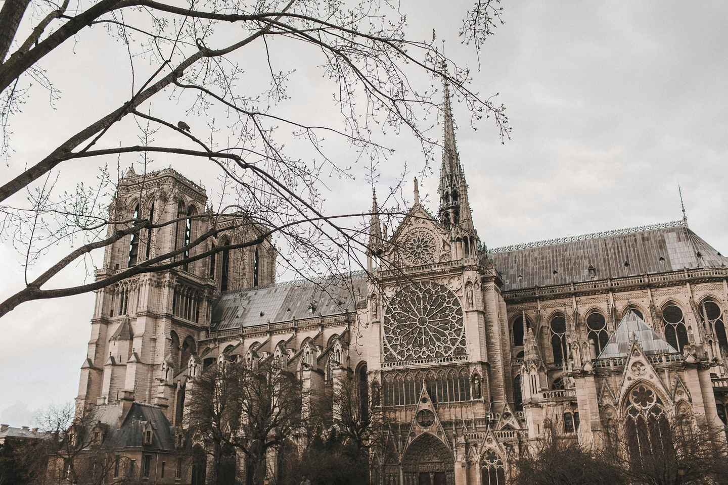 Notre-Dame Tour with Host or AudioGuide + Optional Cruise