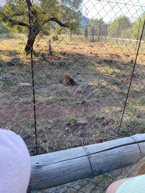 メディア コラージュ