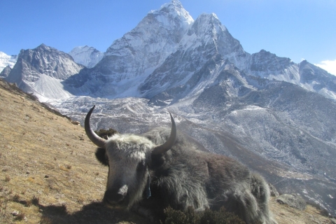 Excursion en hélicoptère à l'Everest 1 jour