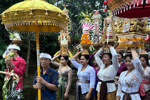 Ubud Waterfall, Temple, Rice Terrace & Art with Transfers