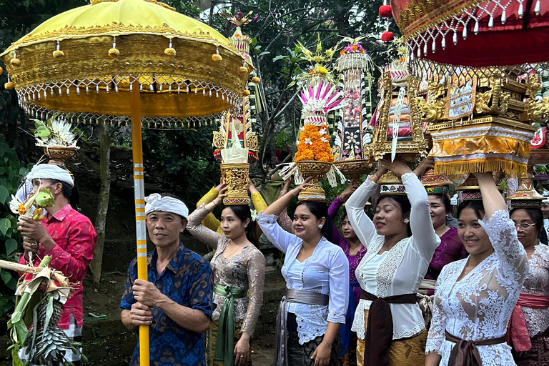 Ubud Waterfall, Temple, Rice Terrace & Art with Transfers