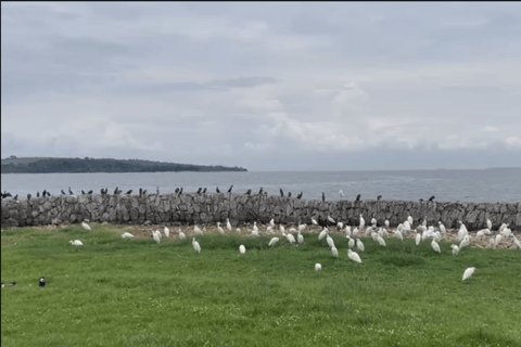 Entebbe: Equator Island Boat Tour