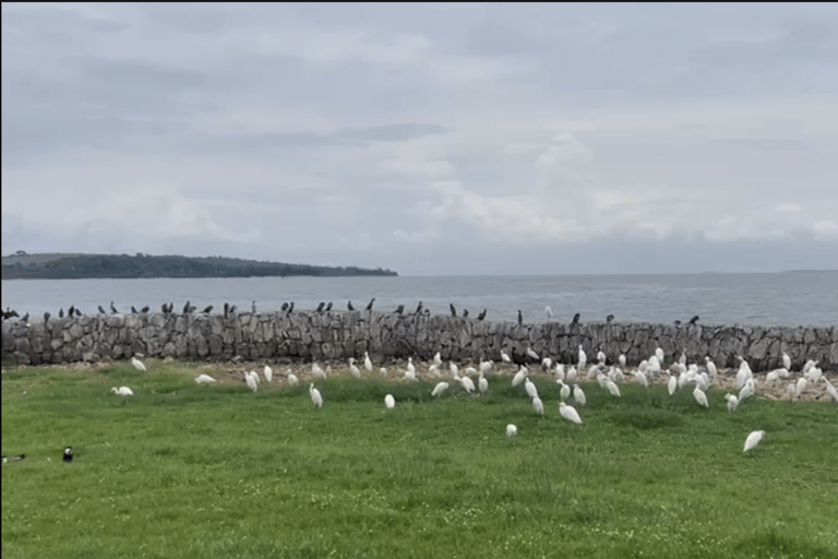 Entebbe: Equator Island Boat Tour