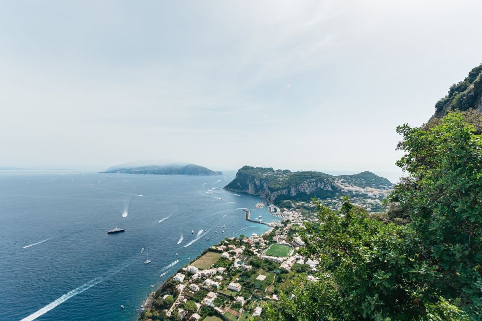 Da Sorrento: tour in barca tra Capri e Costiera e limoncello