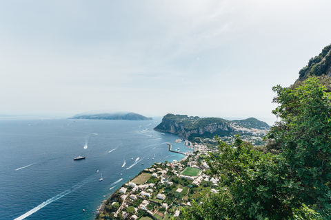 Sorrento : journée en bateau sur la côte et à CapriOption avec prise en charge à l'hôtel et arrêt baignade