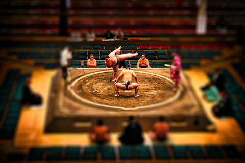 Tokyo: Sumo Tournament with Guide & Assigned Reserved Seat Reserved Seat in Zone B