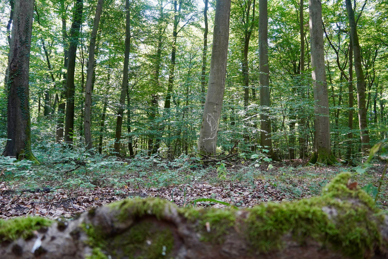 Berlin: Historical Tour along the Death March Path with Car