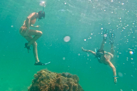 Fort Lauderdale: esnórquel, kayak y surf de remo con arrecifes y esculturasFort Lauderdale: Snorkel, Kayak &amp; SUP w/Reefs &amp; Sculptures