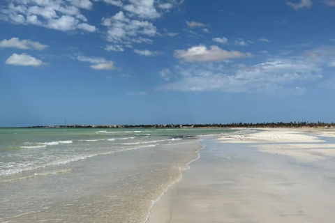 Djerba: Quad Bike Tour with 3 Routes to Choose From