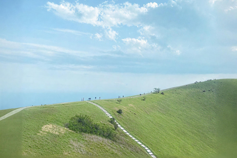 Tokio: Izu-schiereiland Trein Mt Omuro, Capibara-sightseeingtripGroepstour met 07:20 uur Meetup op het station van Tokio