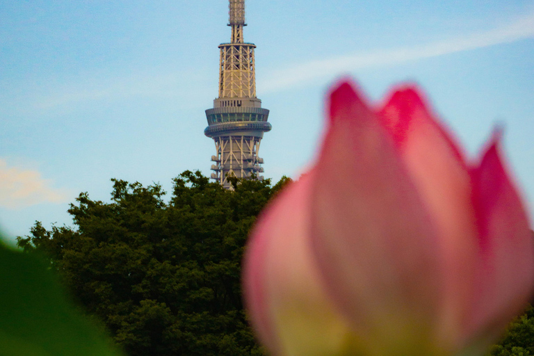 Visite privée de Tokyo en voiture avec prise en charge