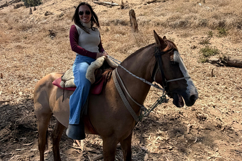 From Santiago: Papudo Lobos Island Boat & Horseback Ride