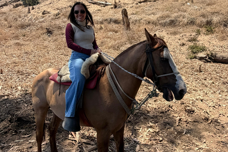 From Santiago: Papudo Lobos Island Boat & Horseback Ride