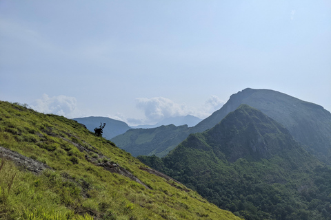 Da Kandy: escursione alle cime gemelle di Kanawiddagala e YahangalaDa Kandy: escursione alle due cime gemelle di Kanawiddagala e Yahangala