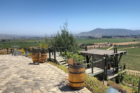 Wineries Tour in Casablanca Valley from Valparaiso Shared tour