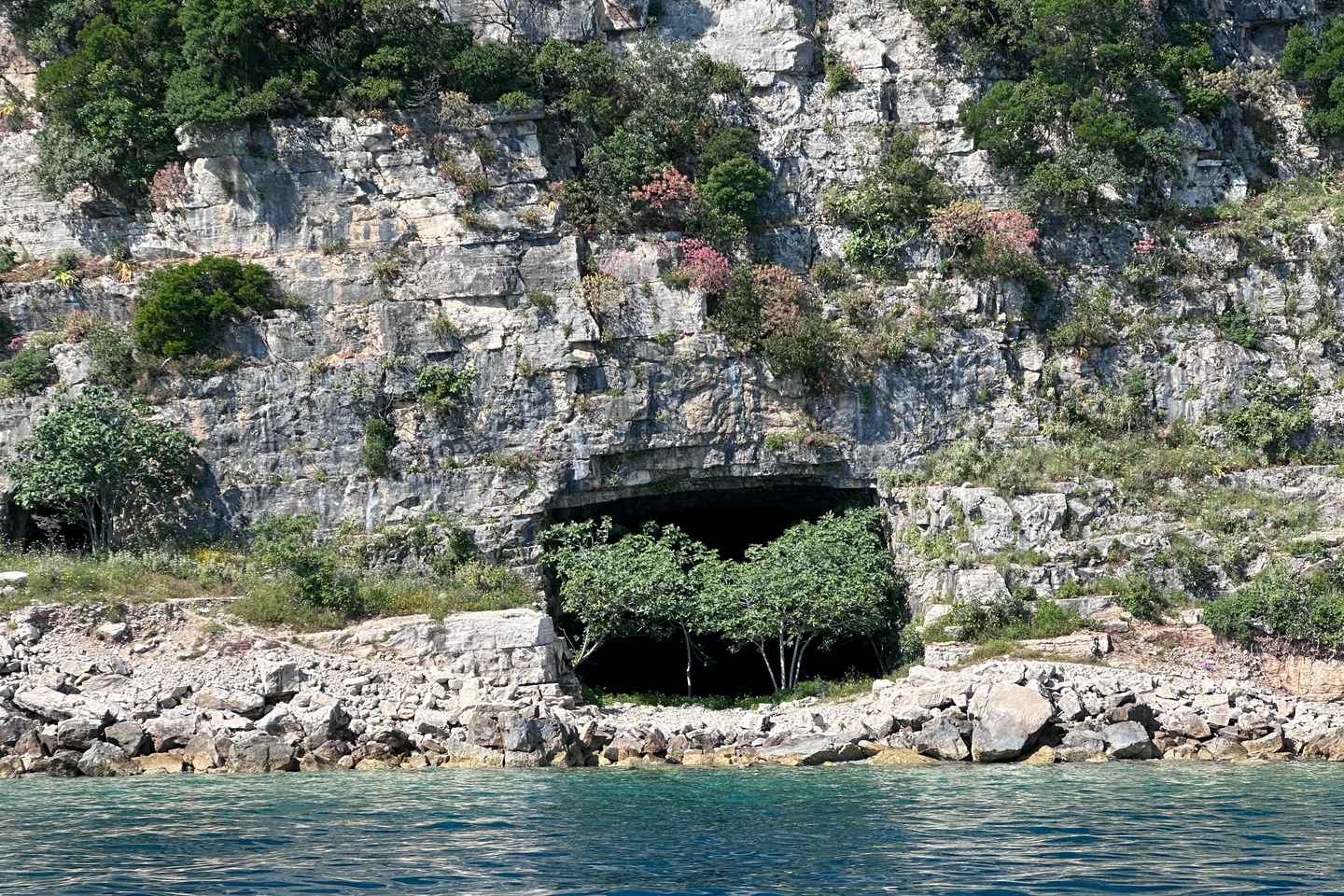 Скоростная лодка: Приватная экскурсия в Сазан-Карабурун