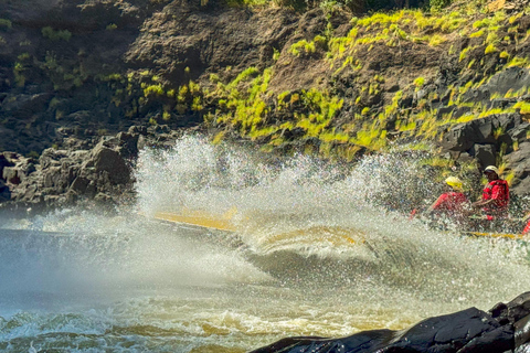 Victoria Falls: Jetboat Adventure Experience