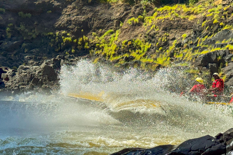 Victoriafallen: Jetboat äventyrsupplevelse