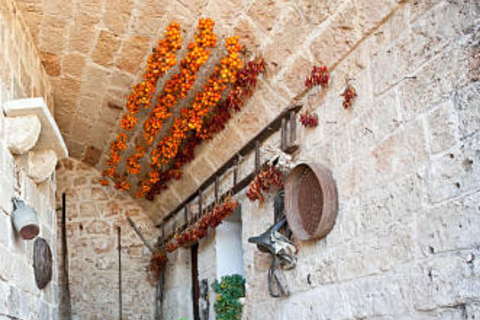 Apulien: Geführte Tour durch die Weinberge mit Weinverkostung