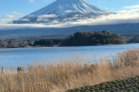 Z Tokio: Prywatna 1-dniowa wycieczka na górę Fuji i do Hakone