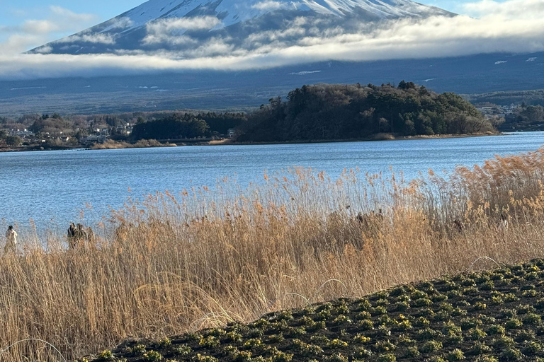 Depuis Tokyo : Excursion privée d&#039;une journée au Mont Fuji et à Hakone