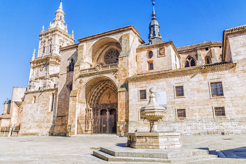 Guided tour of Burgo de Osma (by ECO-BUS)