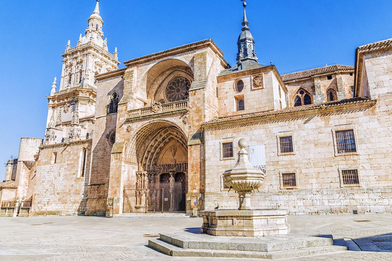 Guided tour of Burgo de Osma (by ECO-BUS)