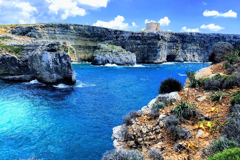 Malta: 9 Bays Cruise with Traditional Ftira and Transport