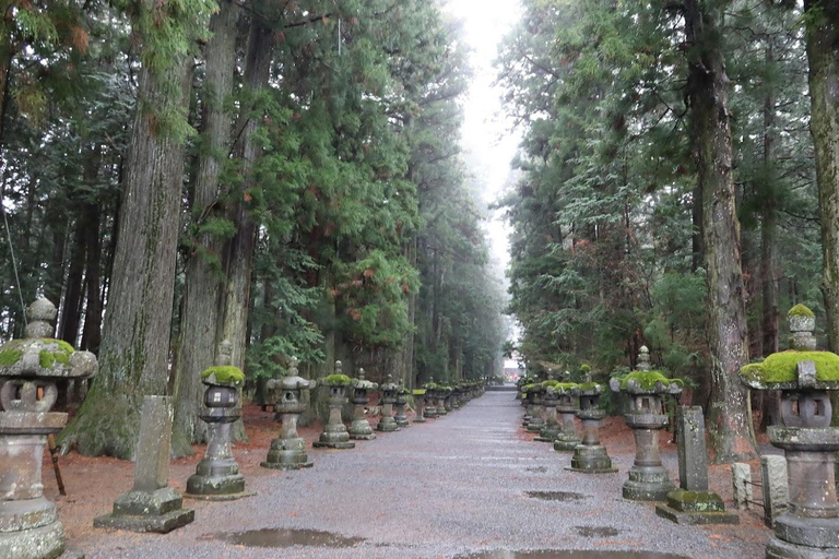 Da Tokyo: Monte Fuji Tour di un giorno personalizzato privatoTour privato del Monte Fuji completo e personalizzato con servizio di prelievo in hotel