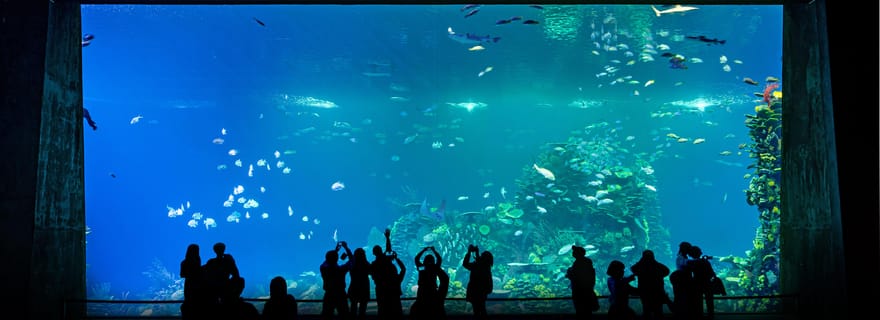 Gran Acuario Mazatlan