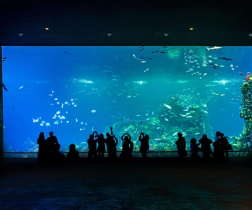Gran Acuario Mazatlán