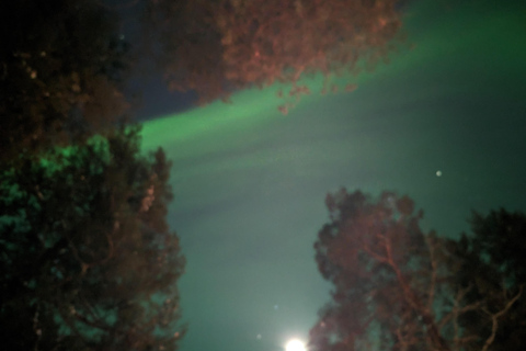 Rovaniemi: Garantiertes magisches Nordlicht-AbenteuerPrivate Jagd auf Nordlichter