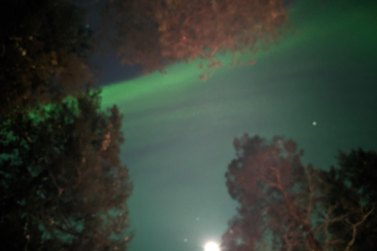 Rovaniemi: Garantiertes magisches Nordlicht-AbenteuerPrivate Jagd auf Nordlichter