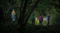 Uvita, tour notturno della natura e della fauna selvatica nella foresta tropicale - Hizvo