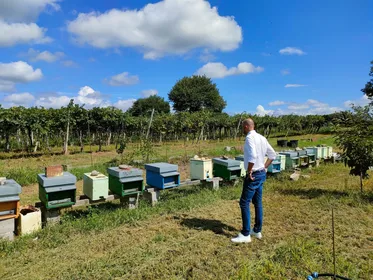 Lazise: Imkerei-Farm-Tour und Verkostungserlebnis