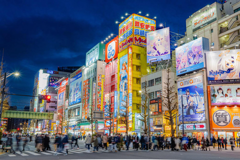 Tokyo: 8-Day Tour with Fuji, Kyoto, Nara, Hiroshima & Osaka Day 8 - Osaka Highlights (Spanish)