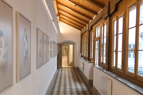 Alp Sbrinz Cheese Tasting – The Gold of the Alps