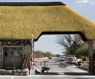 Etosha National Park:Transportation and tours to Etosha park