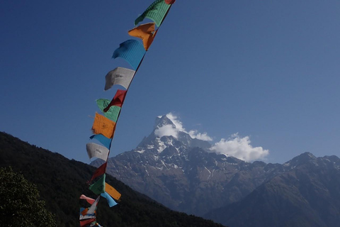 Pokhara: 4-dniowa wycieczka z przewodnikiem i zakwaterowaniem na Mardi HimalPokhara: 4-dniowa wycieczka z przewodnikiem i zakwaterowaniem do Mardi Himal